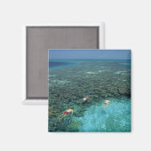 Belize, Barrier Reef, Lighthouse Reef, blauw Magneet (Voorkant / Achterkant)