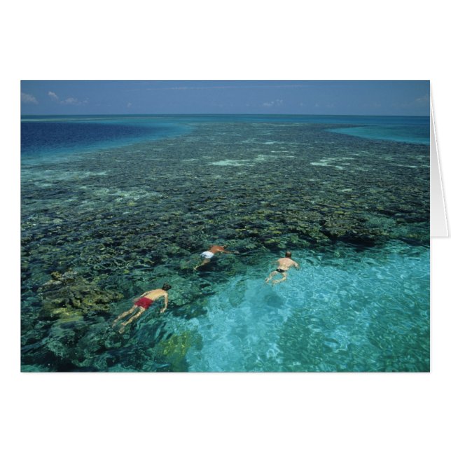 Belize, Barrièrerif, Lighthouse Reef, Blauw (Voorkant Horizontaal)
