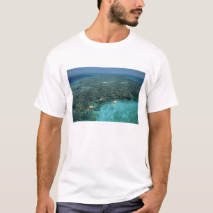 Belize, Barrièrerif, Lighthouse Reef, Blauw T-shirt