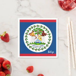 Belize & Belize Vlag partij mode / sport fans Servet