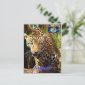 Belize - Belizeaanse Oerwouden - Briefkaart (Staand voorkant)