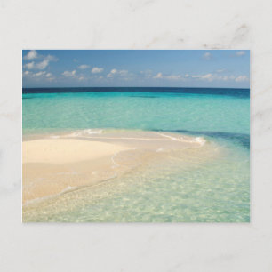 Belize, Caribisch Zee. Goff Caye, een klein eiland Briefkaart