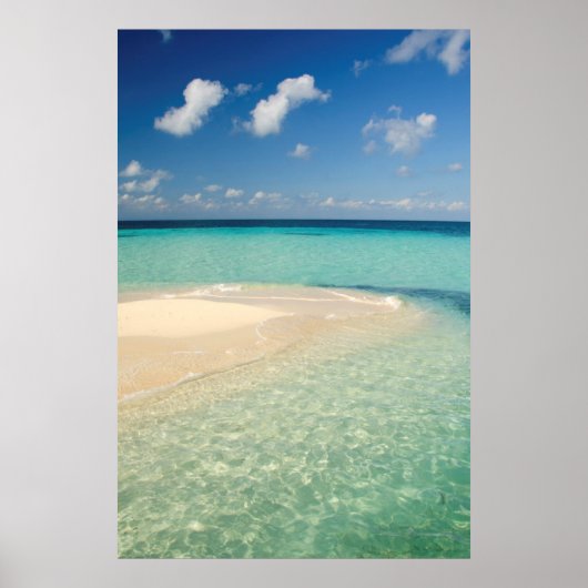 Belize, Caribisch Zee. Goff Caye, een klein eiland Poster (Voorkant)