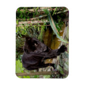 Belize City Zoo. Zwarte panter Magneet (Verticaal)
