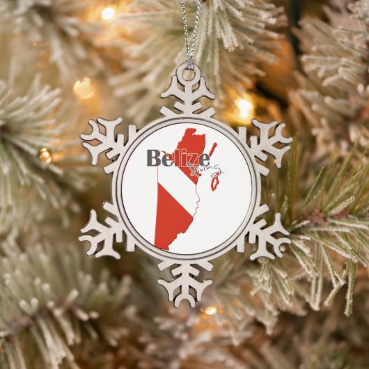 Belize Diving Tin Sneeuwvlok Ornament (Boom)