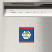 Belize Flag Magnet Magneet (Insitu (Vaatwasser))
