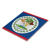 Belize Flag Tegel Tegeltje (Zijkant)