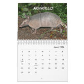 Belize Kalender (Mar 2026)