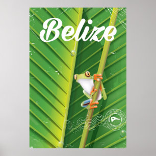 Belize Kikker vintage cartooneske reisposter Poster