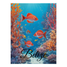 Belize Koraalrif Reisposter