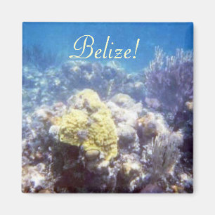 Belize! koraalrifmagneet magneet