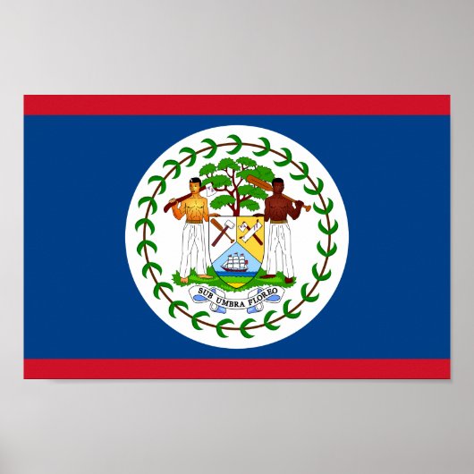Belize National World Flag Poster (Voorkant)