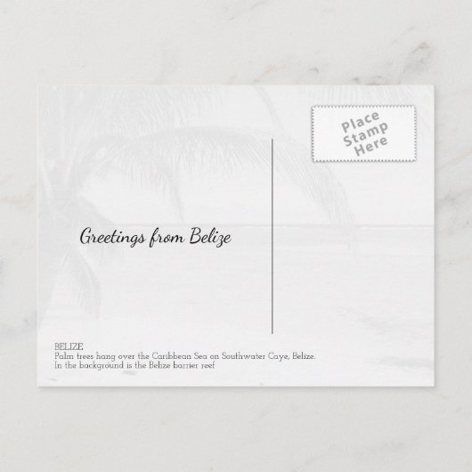 Belize Palm Trees en Caraïbisch Zee Landschap Briefkaart (Achterkant)