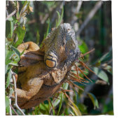 Belize Photography, Iguana Lizard Douchegordijn (Voorkant)