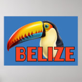 BELIZE Toucan Poster (Voorkant)