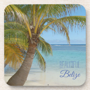 Belize Tropische Palmboom Strand Scène Foto Bier Onderzetter
