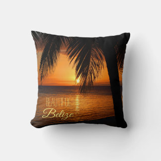 Belize tropische palmboom zonnestralen kussen