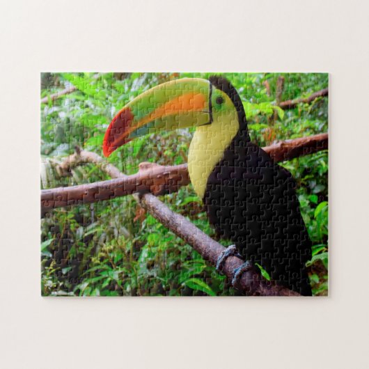 Belize Tucon Vogels. Legpuzzel (Horizontaal)