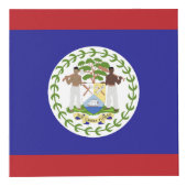 Belize vlag kubus (Voorkant)