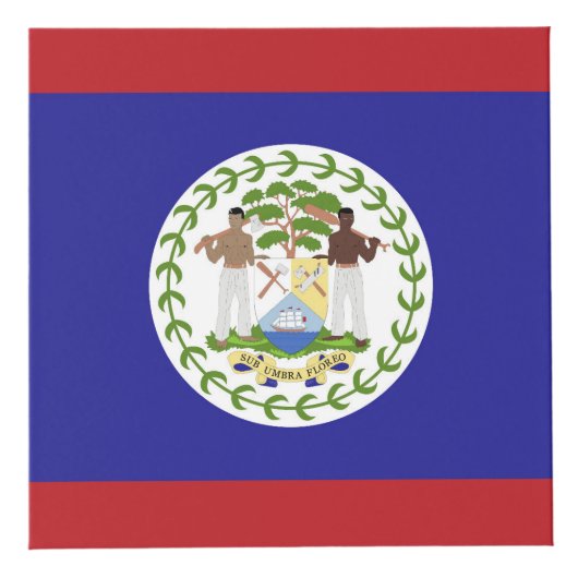 Belize vlag kubus (Voorkant)