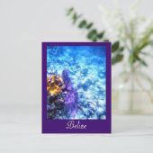 Belize Zee Aangepast Briefkaart voor ventilator (Staand voorkant)