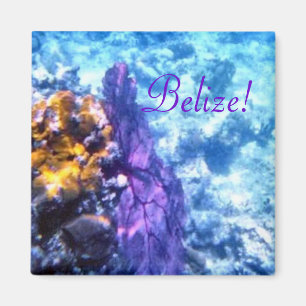 Belize Zee Fan Magneet