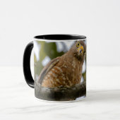 Belizean Roadside Hawk fotografie Mok (Voorkant links)