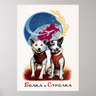 Belka et Strelka, chiens spatiaux — affiche soviét