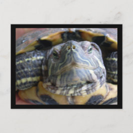 Belka sluit af briefkaart