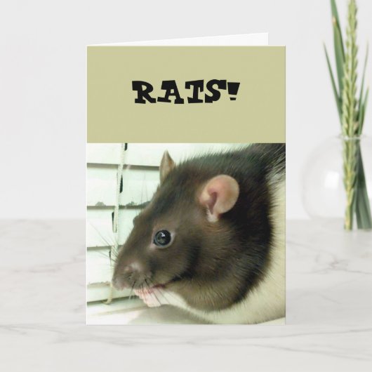 Bell De Rat wordt snel gezond Kaart (Voorkant)