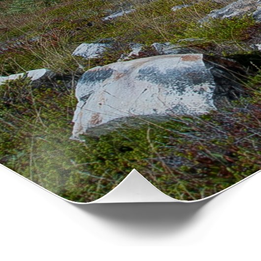 Bell Island Newfoundland Perfect Poster (Hoek)