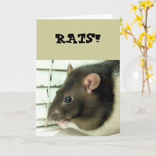 Bell Le Rat S'En Sortir Carte Bientôt (Fleur jaune)