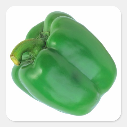 BELL PEPPER (GROEN) VIERKANTE STICKER (Voorkant)