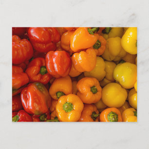 Bell Peppers Foto Briefkaart