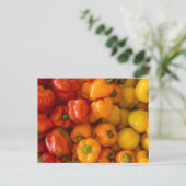 Bell Peppers Foto Briefkaart (Staand voorkant)