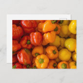 Bell Peppers Foto Briefkaart (Voorkant / Achterkant)