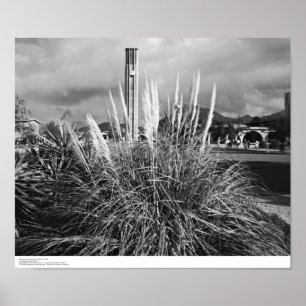 Bell Tower, Pampas Grass, december 1966 Poster