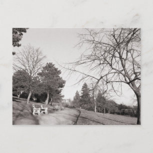 Bell Vue Park, Newport, Mon Briefkaart