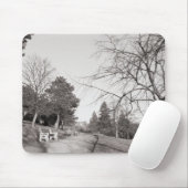 Bell Vue Park, Newport, Mon (dec 1977) Muismat (Met muis)