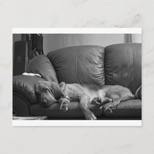 Bella Briefkaart (Voorkant)