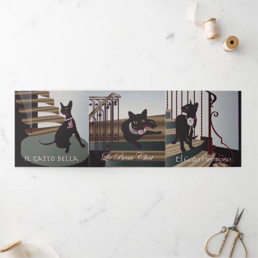 Bella Cat 10-12 Trivoudig Kaart (Buitenkant)