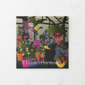 Bella Cat 4-6 Trivoudig Kaart (Cover)