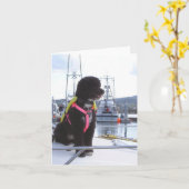 Bella en de Vanger van de Hond Kaart (Gele Bloem)