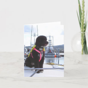 Bella en de Vanger van de Hond Kaart