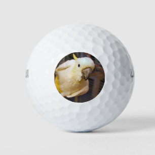 Bella jongen golfballen