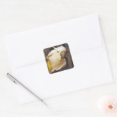 Bella jongen vierkante sticker (Envelop)