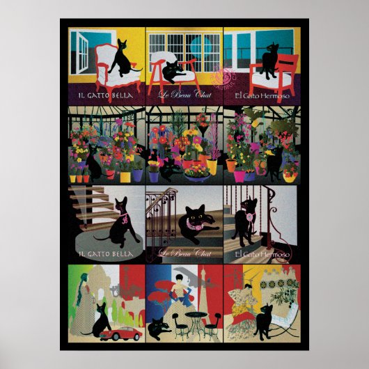 Bella : La belle affiche du chat 18"x24" (Devant)