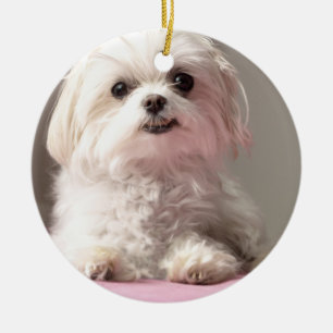 Bella Laten we naar Maltezer Ornament gaan kijken