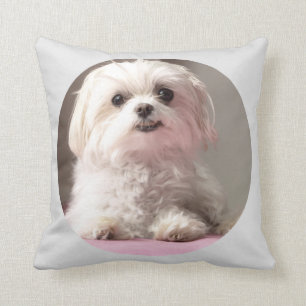 Bella Laten we naar Maltezer Pillow gaan Kussen