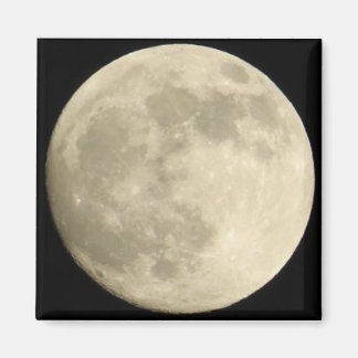 Bella Luna Magnet Magneet